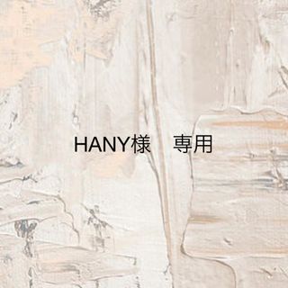 HANY様　専用(3/19発送　イヤリング)(ピアス)