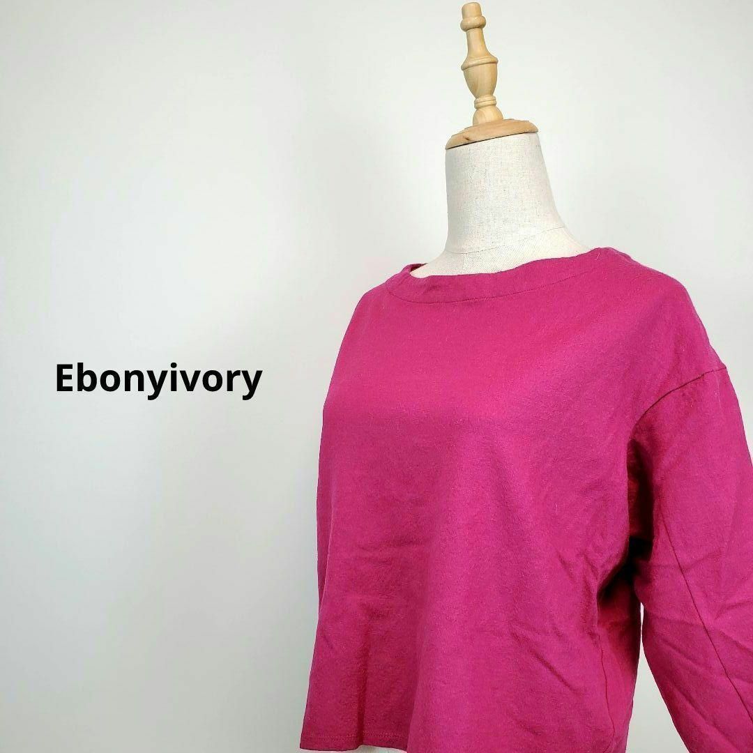 Ebonyivory(エボニーアイボリー)のエボニーアイボリーEbonyivoryレディース レディースのトップス(ニット/セーター)の商品写真