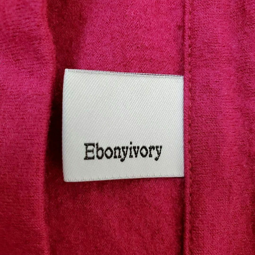 Ebonyivory(エボニーアイボリー)のエボニーアイボリーEbonyivoryレディース レディースのトップス(ニット/セーター)の商品写真