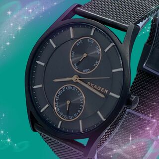 スカーゲン(SKAGEN)の《美品　稼動品》　スカーゲン　ホルスト　防水　メンズ腕時計　クォーツ(腕時計(アナログ))