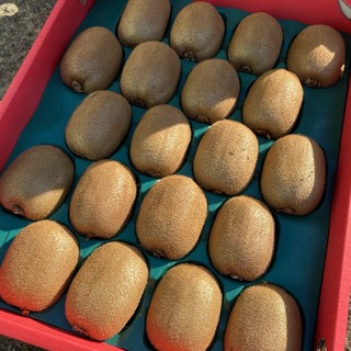 芯が甘い！【高級品】和歌山県産キウイフルーツ 4L 20個入り(フルーツ)