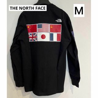 ザノースフェイス(THE NORTH FACE)のノースフェイス 長袖 Tシャツ トップス 国旗 アンタークティカ NT82230(Tシャツ/カットソー(半袖/袖なし))