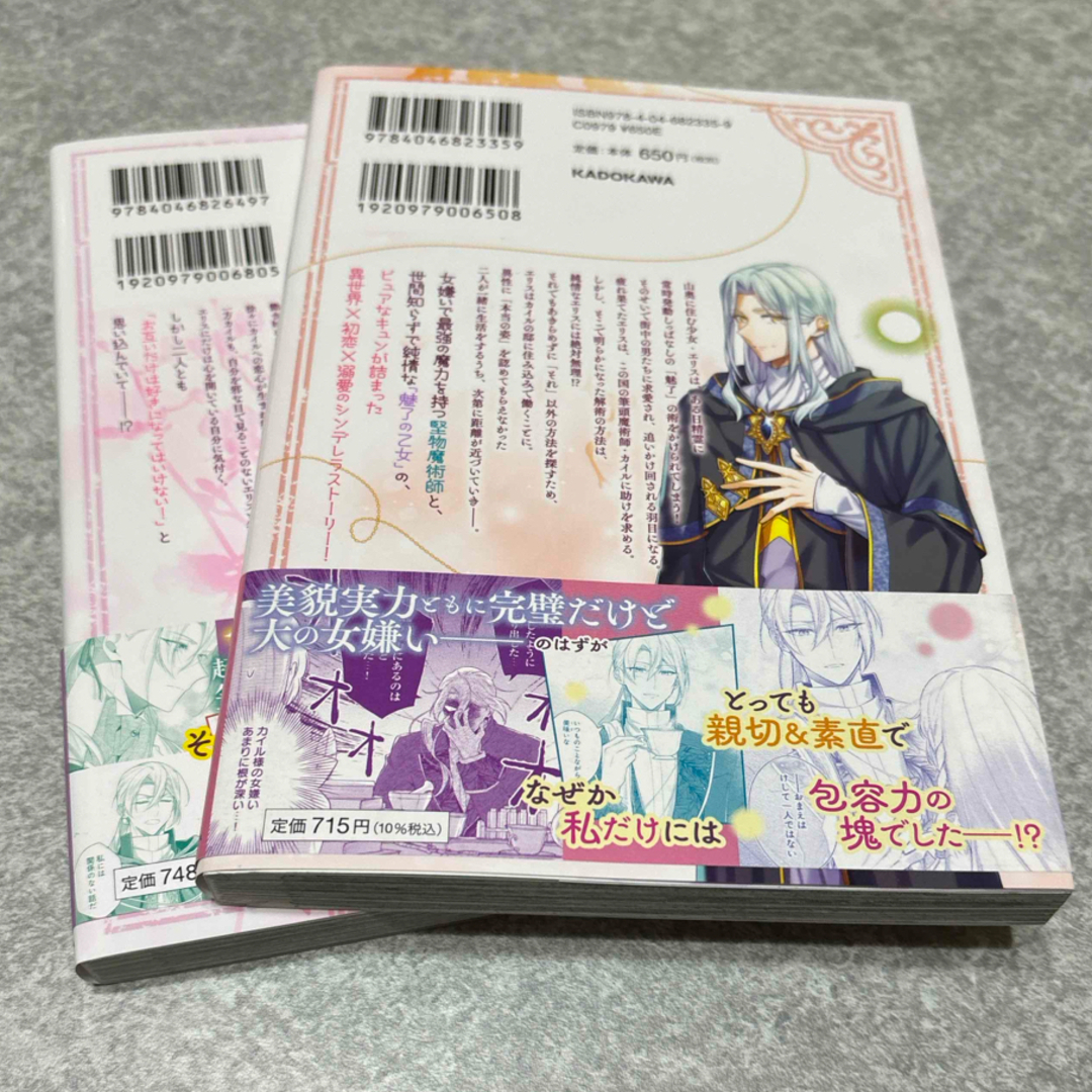 角川書店(カドカワショテン)の『魅了』の乙女と堅物筆頭魔術師の初恋記録 エンタメ/ホビーの漫画(少女漫画)の商品写真