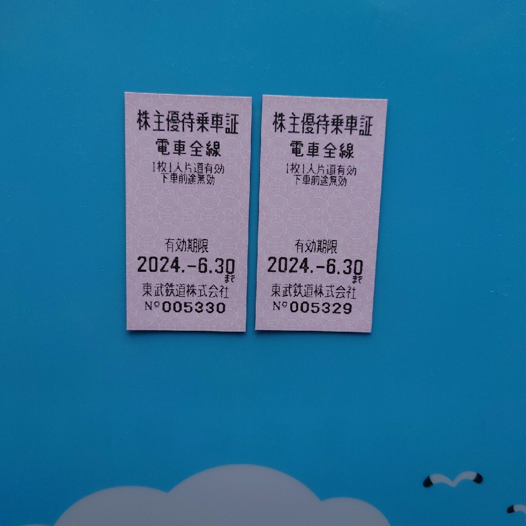 東武鉄道株主優待乗車証 チケットの乗車券/交通券(鉄道乗車券)の商品写真