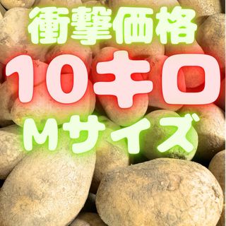 めっちゃ安い　10キロ　じゃがいも　06(野菜)