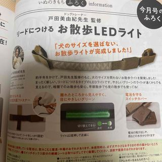 ベネッセ(Benesse)のいぬのきもち3月号付録 リードにつける お散歩LEDライト(犬)