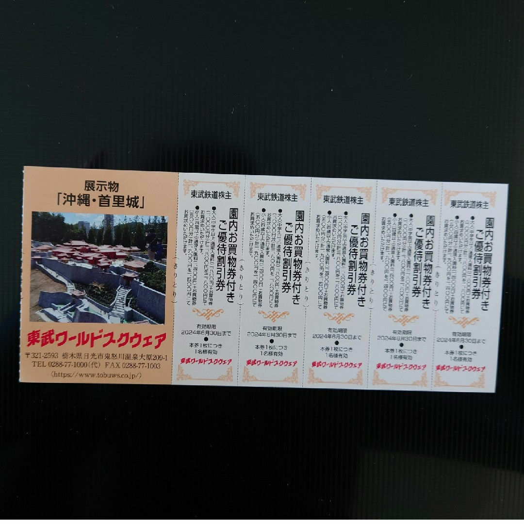 東武ワールドスクウェア優待割引券 チケットの施設利用券(遊園地/テーマパーク)の商品写真
