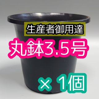 丸鉢 3.5号 黒 1個 プラ鉢 サボテン アガベ 観葉植物 多肉植物(その他)