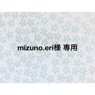 【mizuno.eri 様 専用】給食セット＊1、ランチョンマット＊1(外出用品)