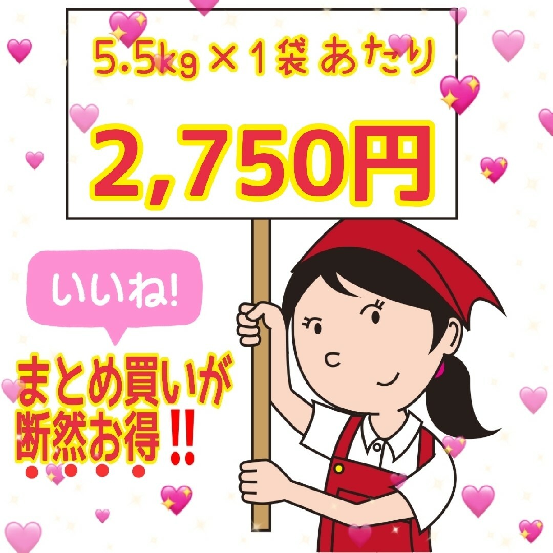 ☆新米☆令和５年産★青森県産はれわたり精白米★５kg×２袋★合計１０kg★送料込 食品/飲料/酒の食品(米/穀物)の商品写真