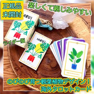 ✨元気をチャージ✨爽やかで生き生きしたおしゃれな観葉植物の海外タロットカード(その他)