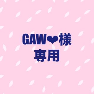 GAW❤︎様専用(ミュージシャン)