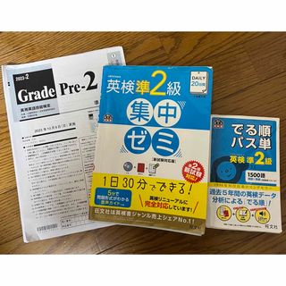 でる順パス単英検準２級、ＤＡＩＬＹ２０日間英検準２級集中ゼミ(その他)