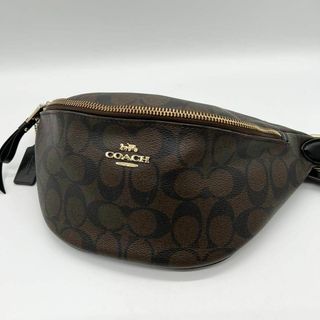 コーチ(COACH)の✨️極美品✨️COACH シグネチャー ウエストバッグ ウエストポーチ ブラウン(ウエストポーチ)