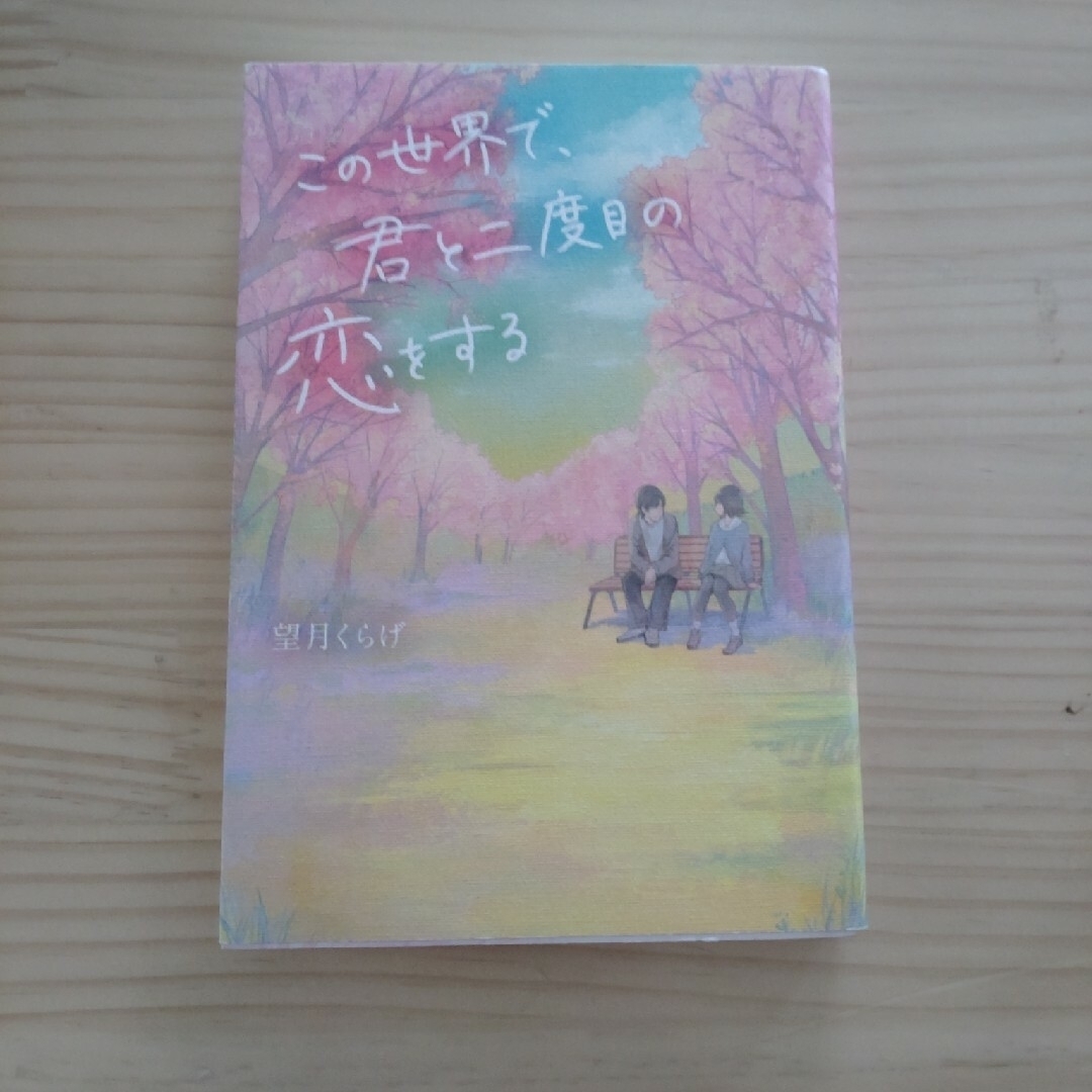 小説10冊セット エンタメ/ホビーの本(文学/小説)の商品写真