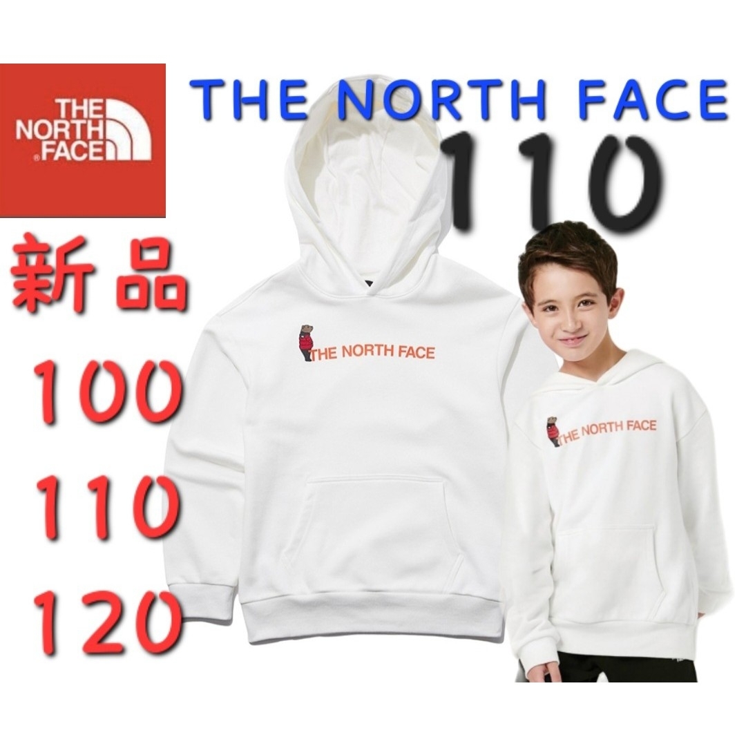 THE NORTH FACE(ザノースフェイス)のノースフェイス キッズ フーディーパーカー スウェット トレーナー 新品 110 キッズ/ベビー/マタニティのキッズ服男の子用(90cm~)(Tシャツ/カットソー)の商品写真