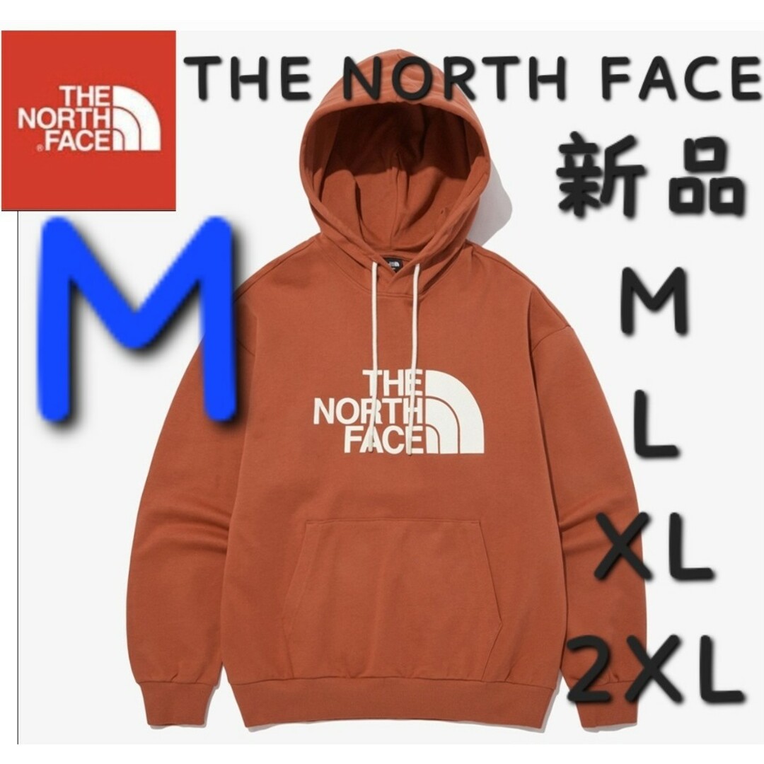 THE NORTH FACE(ザノースフェイス)のノースフェイス コットン パーカー 新品 フーディー ロゴ 長袖 トップス Ｍ メンズのトップス(パーカー)の商品写真