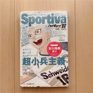 ハイキュー!! ショーセツバン 4巻 星海光来(文学/小説)