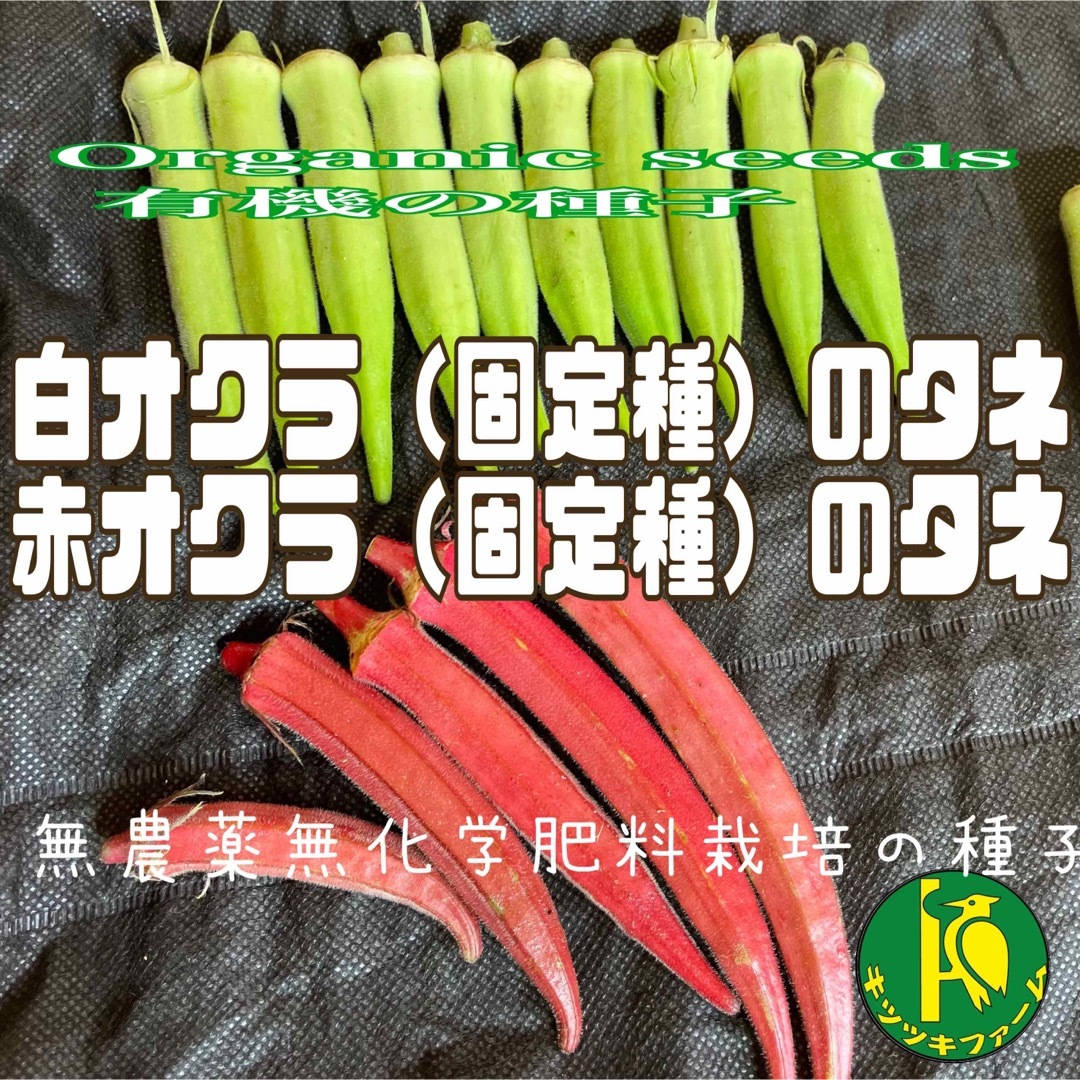 白オクラの種子30粒と赤オクラの種子30粒　有機の種子　無農薬無化学肥料栽培 食品/飲料/酒の食品(野菜)の商品写真
