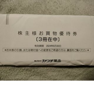 カワチ薬品　株主優待　15000円分(ショッピング)