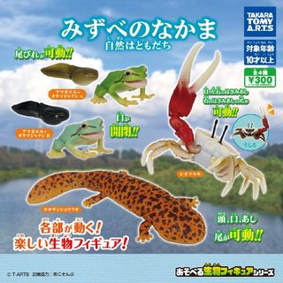 タカラトミーアーツ(T-ARTS)のみずべのなかま 自然はともだち ◆ アマガエル＋オタマジャクシB(その他)