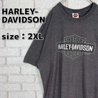 ハーレーダビッドソン(Harley Davidson)のHARLEY DAVIDSON／ハーレーダビットソン Tシャツ ヘインズ製(Tシャツ/カットソー(半袖/袖なし))