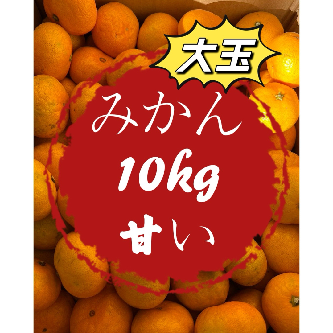 果物　みかん　蜜柑　柑橘　熊本　訳ありSALEセール　速報　ラスト　大容量 甘々 食品/飲料/酒の食品(フルーツ)の商品写真