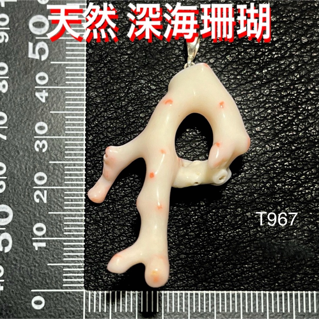 天然石 ハワイ産 深海珊瑚 ペンダントトップ2 レディースのアクセサリー(ネックレス)の商品写真