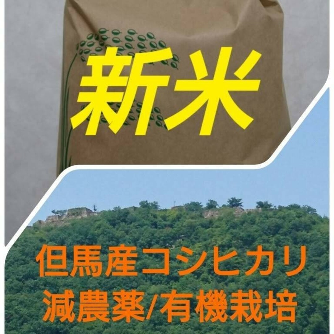 コシヒカリ新米5キロ 食品/飲料/酒の食品(米/穀物)の商品写真