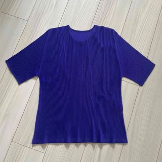 プリーツプリーズイッセイミヤケ(PLEATS PLEASE ISSEY MIYAKE)のプリーツプリーズ　イッセイミヤケ　トップス　Tシャツ(カットソー(半袖/袖なし))