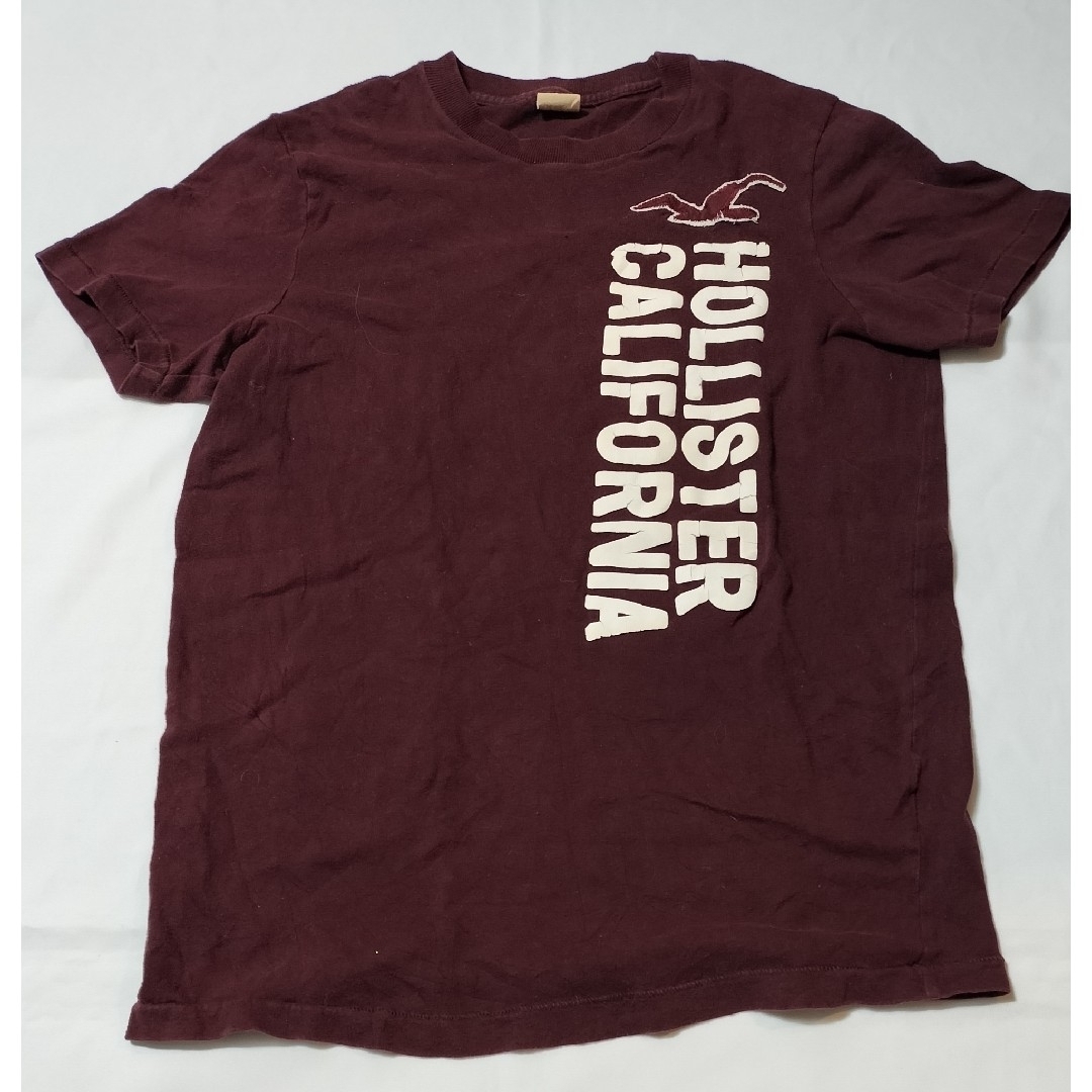 Hollister(ホリスター)のＨＯＬＬＩＳＴＥＲ　半袖Ｔシャツ　ユニセックス レディースのトップス(Tシャツ(半袖/袖なし))の商品写真