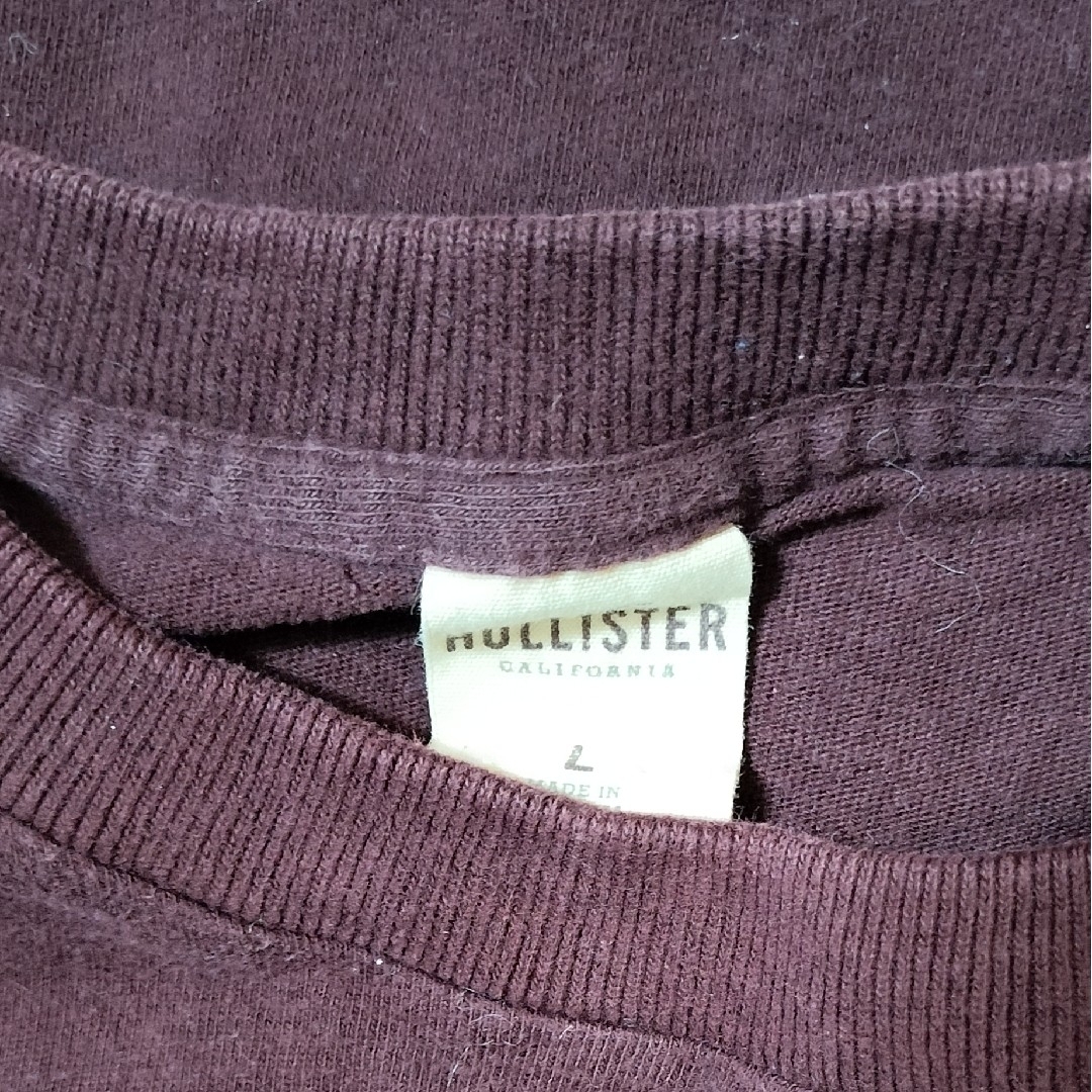 Hollister(ホリスター)のＨＯＬＬＩＳＴＥＲ　半袖Ｔシャツ　ユニセックス レディースのトップス(Tシャツ(半袖/袖なし))の商品写真