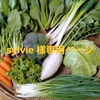 sylvie 様専用ページです(野菜)