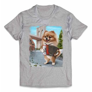 オレンジ ポメラニアン いぬ 犬 アコーディオン 半袖 Tシャツ メンズ(Tシャツ/カットソー(半袖/袖なし))