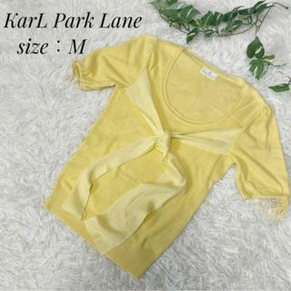 カールパークレーン(KarL Park Lane)のKarl Park Lane カールパークレーン　サマーニット　カットソー　M(ニット/セーター)