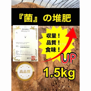 『菌』の堆肥『楪』1.5kg(プランター)