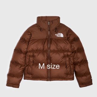 ザノースフェイス(THE NORTH FACE)のノースフェイス　レトロヌプシ　US   1996   Mサイズ　ダークオーク(ダウンジャケット)