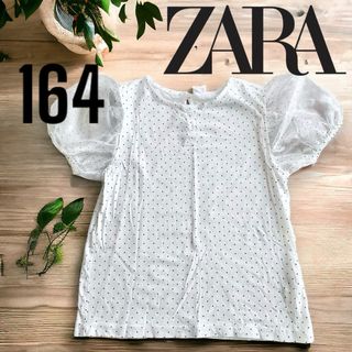 ザラキッズ(ZARA KIDS)のZARAKIDS パフスリーブカットソー　160cm(Tシャツ/カットソー)