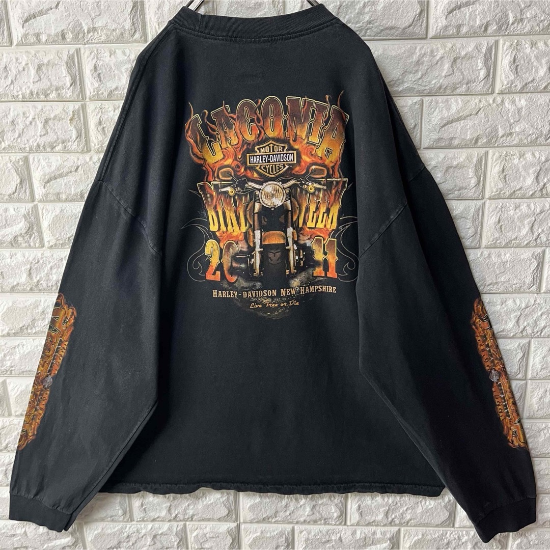 Harley Davidson(ハーレーダビッドソン)の【HARLEY DAVIDSON】L/S Tee デカロゴ スリーブロゴ 2XL メンズのトップス(Tシャツ/カットソー(七分/長袖))の商品写真