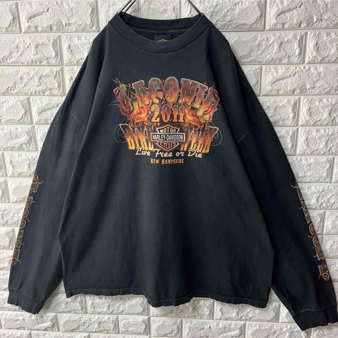 Harley Davidson(ハーレーダビッドソン)の【HARLEY DAVIDSON】L/S Tee デカロゴ スリーブロゴ 2XL メンズのトップス(Tシャツ/カットソー(七分/長袖))の商品写真