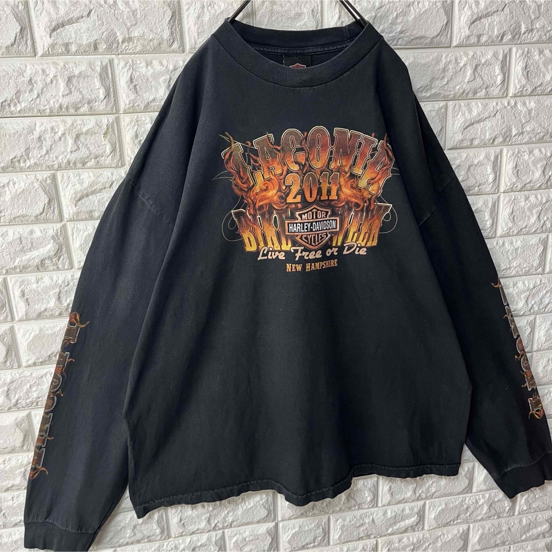 Harley Davidson(ハーレーダビッドソン)の【HARLEY DAVIDSON】L/S Tee デカロゴ スリーブロゴ 2XL メンズのトップス(Tシャツ/カットソー(七分/長袖))の商品写真