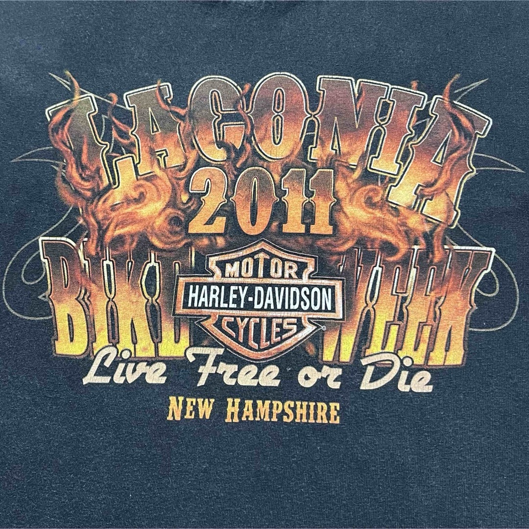 Harley Davidson(ハーレーダビッドソン)の【HARLEY DAVIDSON】L/S Tee デカロゴ スリーブロゴ 2XL メンズのトップス(Tシャツ/カットソー(七分/長袖))の商品写真