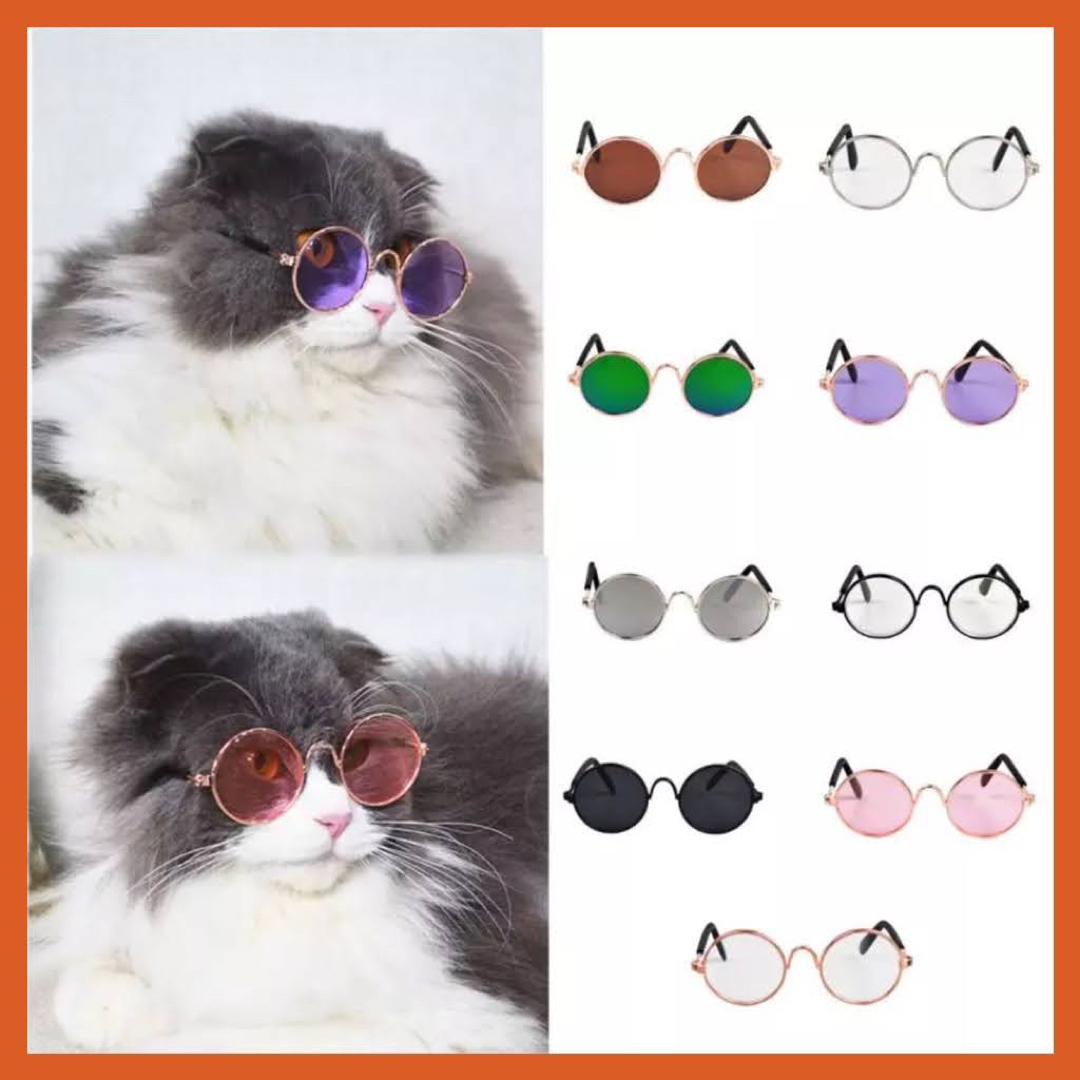 k84【新品】猫 犬 うさぎ サングラス メガネ 眼鏡 コスプレ ブライス その他のペット用品(猫)の商品写真