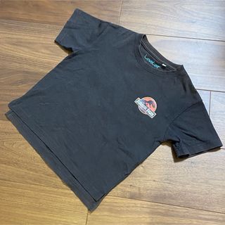 ユナイテッドアローズグリーンレーベルリラクシング(UNITED ARROWS green label relaxing)のgleen label relaxing ✖️ JURASSIC PARK(Tシャツ/カットソー)