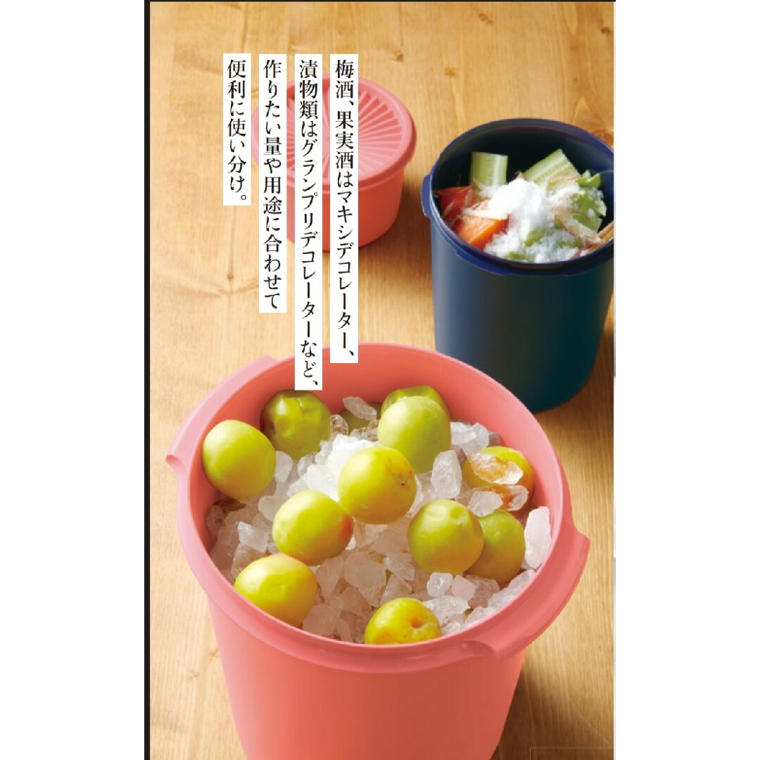 TupperwareBrands(タッパーウェア)のTupperwareマキシデコレーター（ノクターナルシーブルー） インテリア/住まい/日用品のキッチン/食器(容器)の商品写真