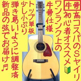 エスヤイリ(S.YAIRI)の【牛骨】S.yairi！YF-36！少し小ぶり！【弾き易く調整☆新品弦】(アコースティックギター)