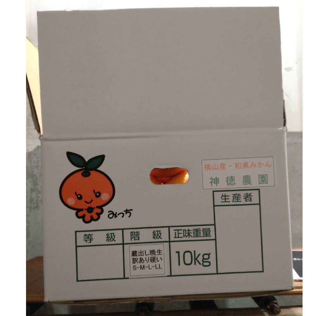 蔵出し熟成和泉みかん中玉小玉5kg 食品/飲料/酒の食品(フルーツ)の商品写真