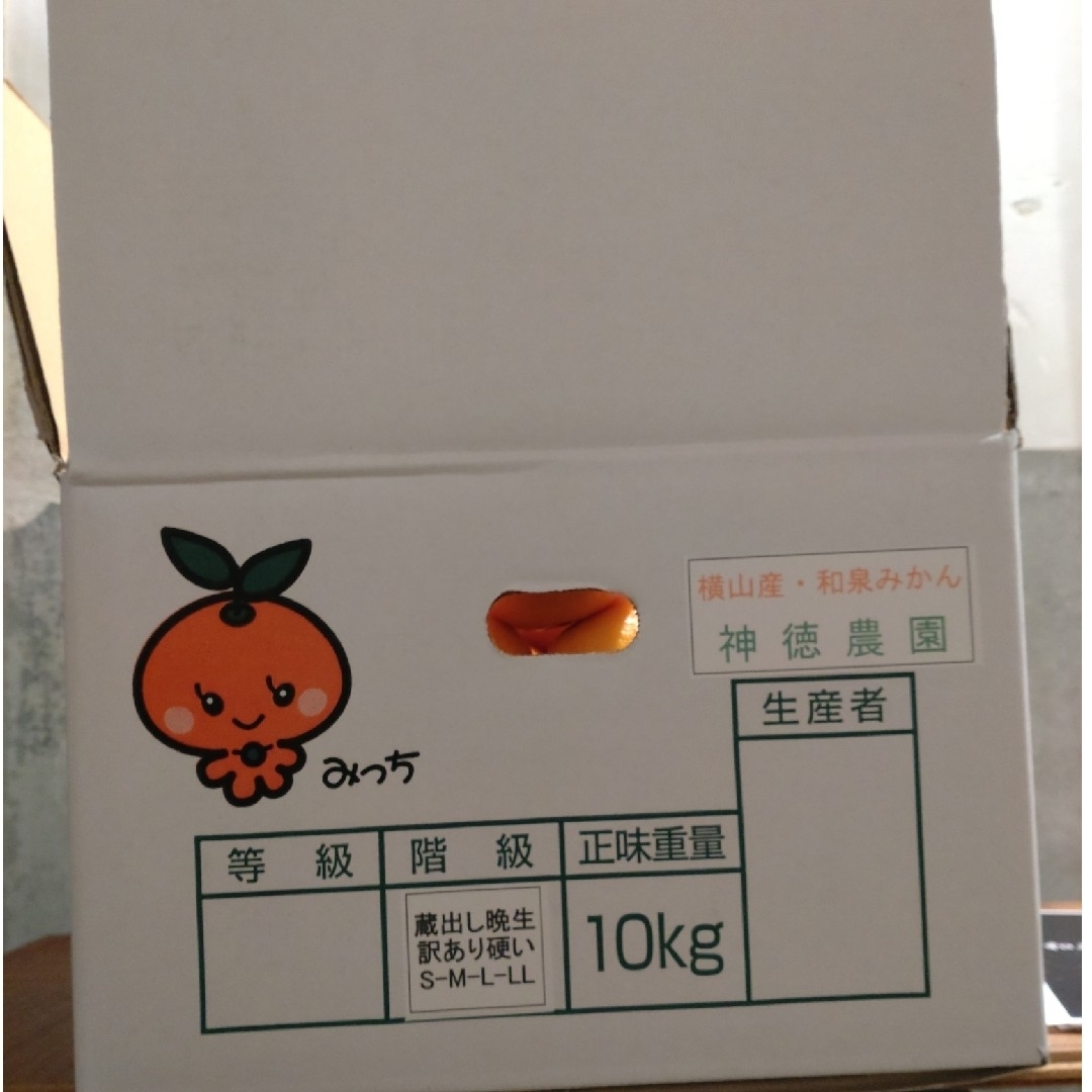 蔵出し熟成和泉みかん中玉小玉5kg 食品/飲料/酒の食品(フルーツ)の商品写真