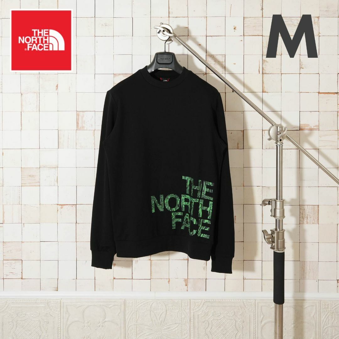 THE NORTH FACE(ザノースフェイス)の新品 THE NORTH FACE M BLOWN UP LOGO CREW メンズのトップス(スウェット)の商品写真