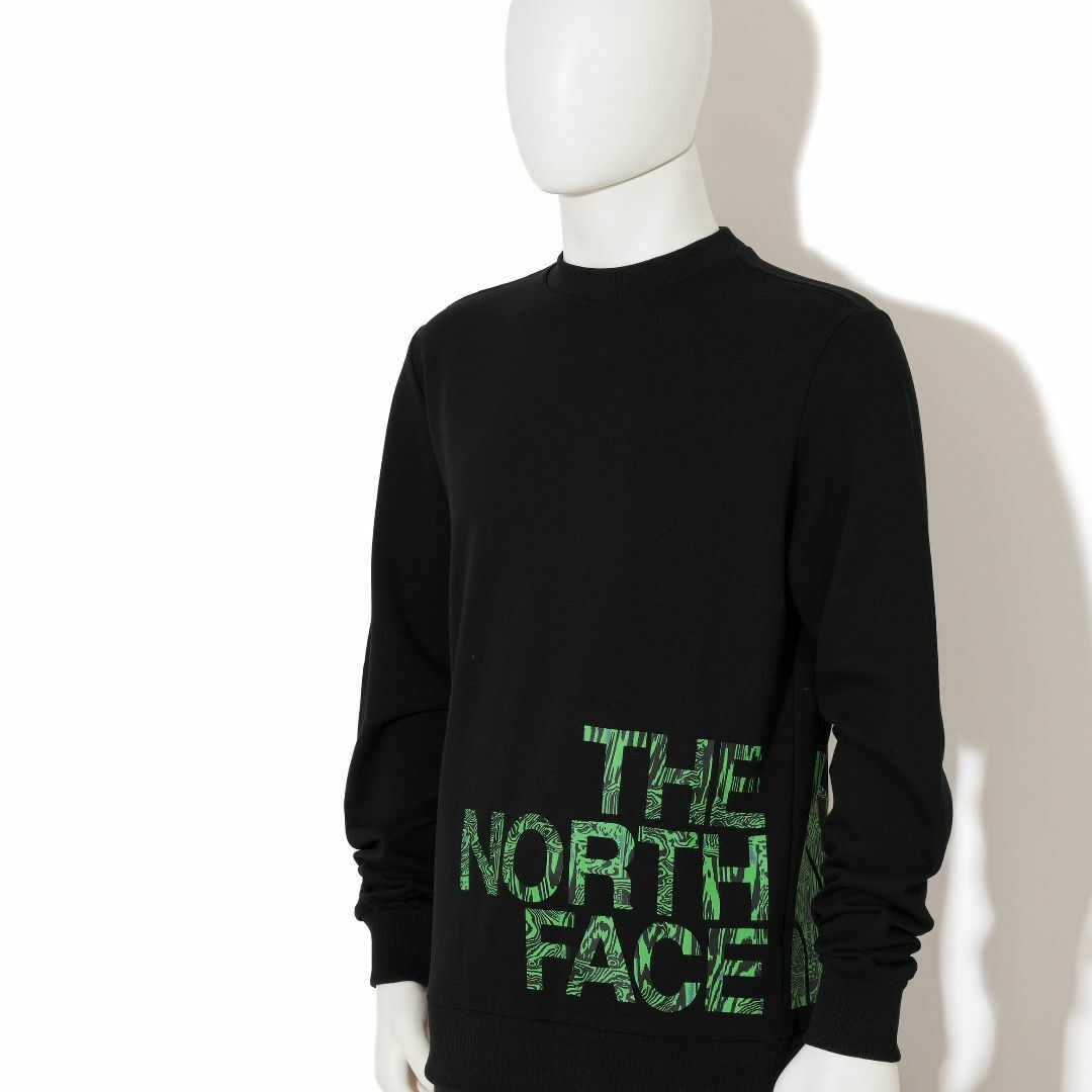 THE NORTH FACE(ザノースフェイス)の新品 THE NORTH FACE M BLOWN UP LOGO CREW メンズのトップス(スウェット)の商品写真